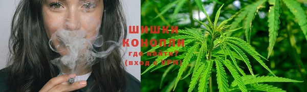 стаф Володарск