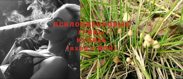 стаф Володарск