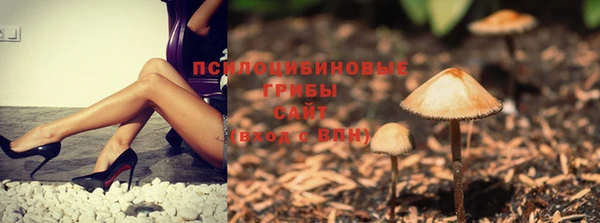 прущие крисы Волоколамск
