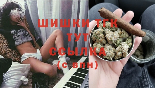 стаф Володарск