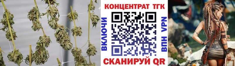 даркнет Telegram  Злынка  Дистиллят ТГК THC oil 